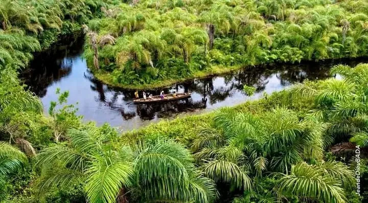 Canoe Ride