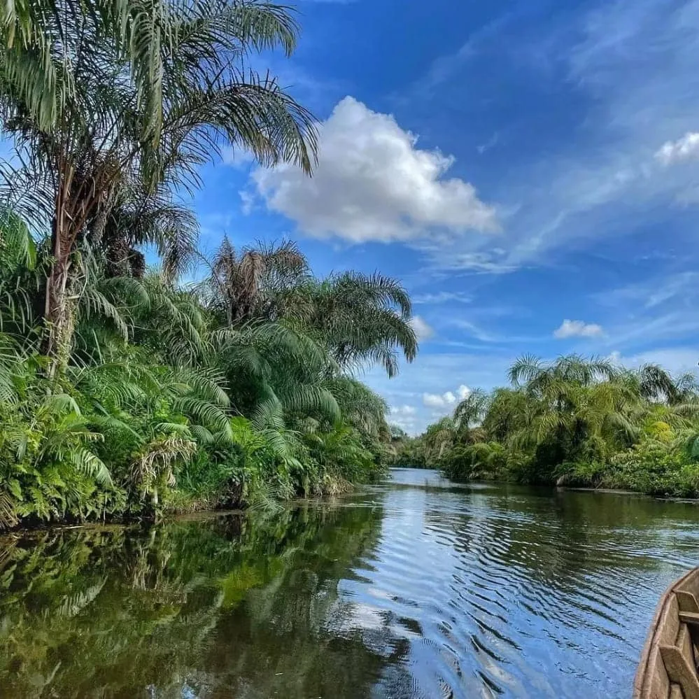 La Rivière Noire d'Adjarra